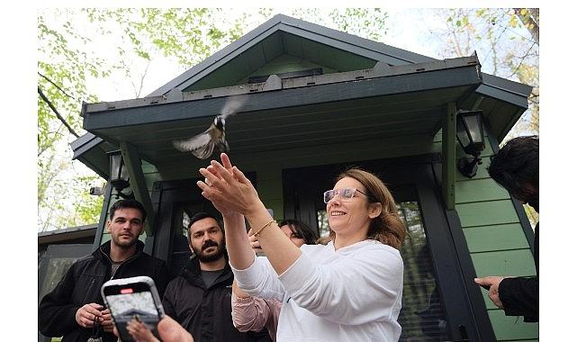 Mantar avıyla doğanın tadını çıkardılar