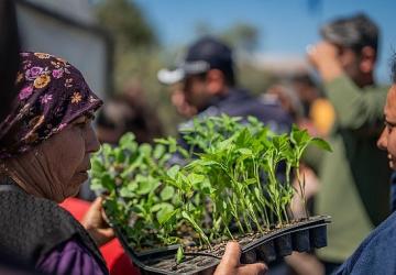Milas Belediyesi'nden Üreticilere Fide Desteği