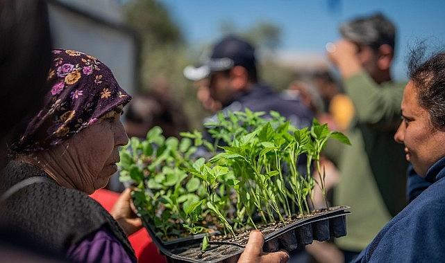 Milas Belediyesi'nden Üreticilere Fide Desteği