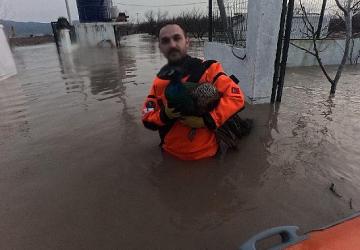 İzmir İtfaiyesi sessiz canlar için zamanla yarıştı