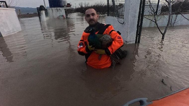 İzmir İtfaiyesi sessiz canlar için zamanla yarıştı
