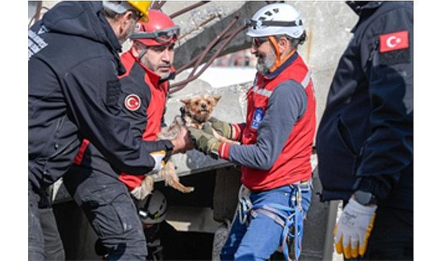 Afetzede hayvanlar için ilçelere arama kurtarma eğitimi