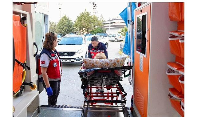 Burhaniye Belediyesi “Evde Bakım Hizmetleri" Devam Ediyor