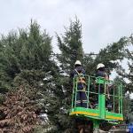 Kartepe'de Yeşil Alanlara Düzenli Bakım