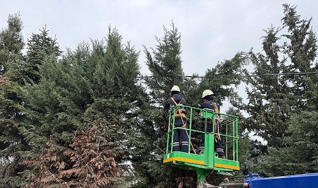 Kartepe'de Yeşil Alanlara Düzenli Bakım