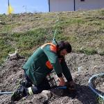 Çankaya'da Kurban Bayramı Hazırlıkları Başladı