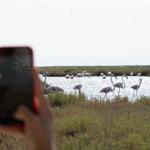 Doğa ve lezzet tutkunları bu turları çok sevecek
