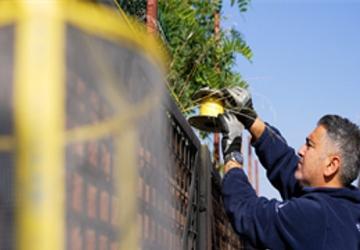 İzmir Büyükşehir Belediyesi'nden karasinekle yoğun mücadele