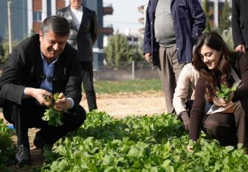 Adıyaman Belediyesi’nin üretim tarlasından ilk hasat vatandaşa ücretsiz ulaştı - Videolu Haber