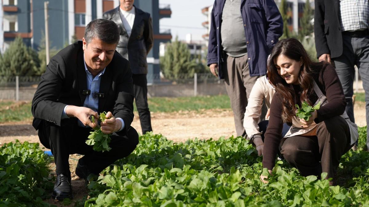 Adıyaman Belediyesi’nin üretim tarlasından ilk hasat vatandaşa ücretsiz ulaştı - Videolu Haber