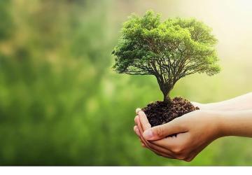 Fuzul'den 2025 çalışanı adına Çanakkale ve Şanlıurfa'ya 2025 fidan bağışı