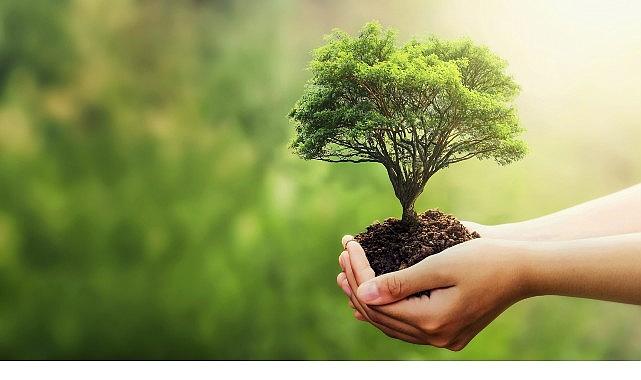 Fuzul'den 2025 çalışanı adına Çanakkale ve Şanlıurfa'ya 2025 fidan bağışı