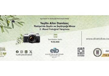 Zeytinin Hikâyesi Fotoğrafla Anlatılıyor: Yeşilin Altın Damlası 2 Başladı