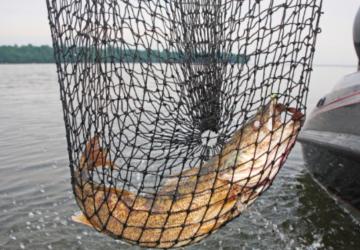 Adıyaman’da küçük ölçekli balıkçılığa destek süreci devam ediyor