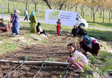 Mahalle bostanlarında kış dikimleri başladı
