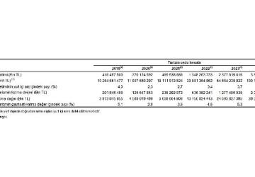 Turizm Uydu Hesabı, 2024