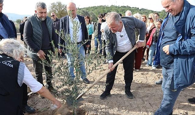 Atatürk'ün Vasiyeti Urla'da Hayata Geçti: Zeytin Koleksiyon Bahçesi'nde İlk Fidan Dikimi