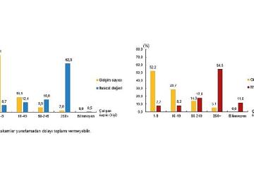 Girişim Özelliklerine Göre Uluslararası Hizmet Ticareti İstatistikleri, 2023