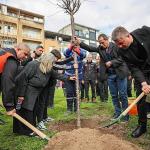 Buca'da 6 Şubat'ta kaybedilenler fidanlarla anıldı