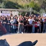 Adıyaman İl Özel İdaresi paylaştı: MotoFest büyük coşkuyla tamamlandı - Videolu Haber