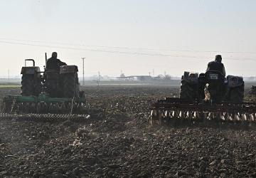 Büyükşehir'in Tohumları Sarıçalı Mahallesi'nin Merasını Yeşertecek