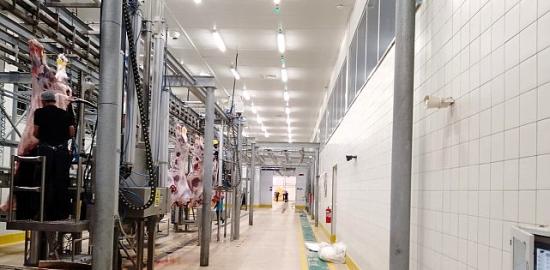 Büyükşehir Mezbahası'nda kurban kesim işlemi tamam