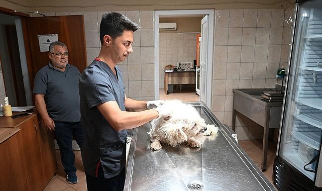 Kemer Belediyesi “Can dostlarına" sahip çıkıyor