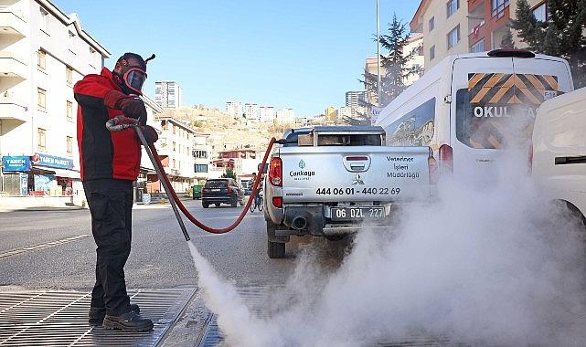 Çankaya'da Dört Mevsim Haşere ile Mücadele