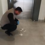 Besni’de yavru kedi parçalanmış halde bulundu