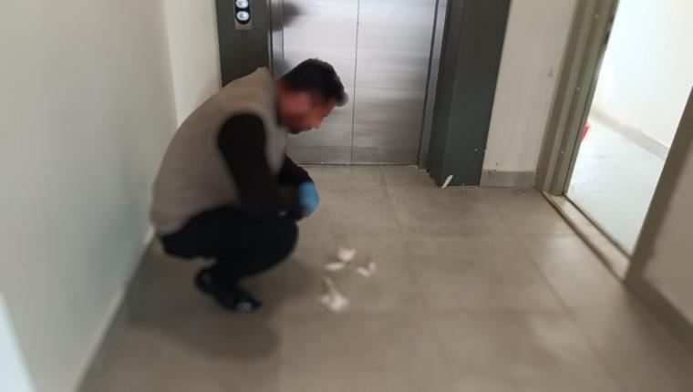 Besni’de yavru kedi parçalanmış halde bulundu