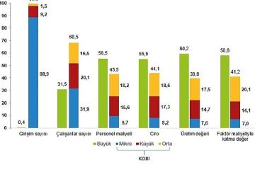 Küçük ve Orta Büyüklükteki Girişim İstatistikleri, 2024