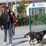 İzmirli hayvansever Çörekçi'nin emanetlerine İzmir Büyükşehir Belediyesi sahip çıktı