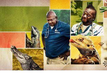 12 Bölümden Oluşan 'Veteriner Dostlar'ın 5. Sezonu, 9 Şubat Pazartesi Saat 20.00'de National Geographic WILD Ekranlarında Başlıyor!