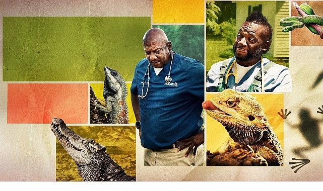 12 Bölümden Oluşan 'Veteriner Dostlar'ın 5. Sezonu, 9 Şubat Pazartesi Saat 20.00'de National Geographic WILD Ekranlarında Başlıyor!