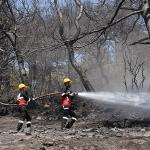 Menemen, afetlere karşı hazırlıkta fark yarattı