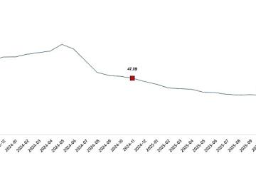 Tüketici Fiyat Endeksi, Kasım 2025