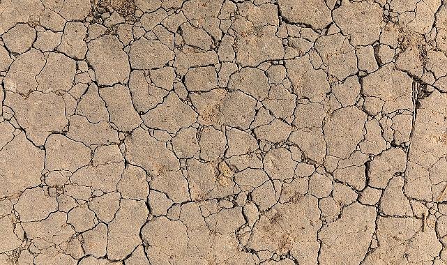 TEMA Vakfı: Toprak Yoksa Su, Su Yoksa Gıda Yok!