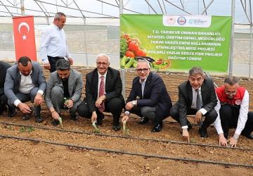 Tarlalar bereketleniyor, Kocaeli çiftçisi kazanıyor
