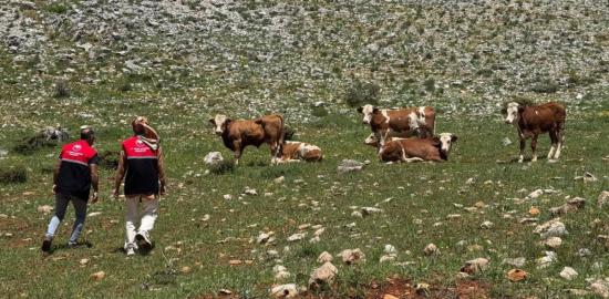 Adıyaman’da meralar için teknik inceleme