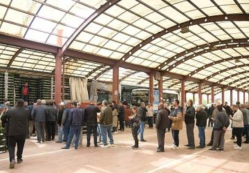 Kahramankazanlı Çiftçilere Fide Desteği Verildi