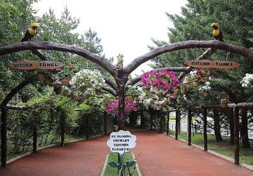 Keçiören'de Modern Serada Üretilen Çiçekler İlçeyi Süslüyor