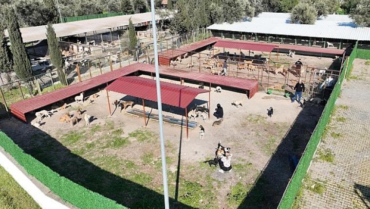 Vodafone ve Huawei, 5G Teknolojisiyle Fiber Hızını 81 İl 922 İlçede Evlere Taşıyacak