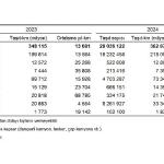 Taşıt-kilometre İstatistikleri, 2024