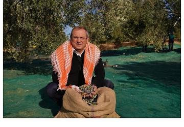 Mesut Ergin: “Dünya Zeytin Ağacı Günü Kutlu Olsun"