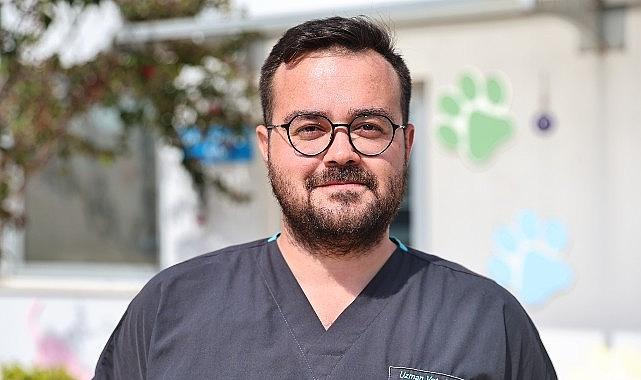 Büyükşehir Bakımevi'nde can dostlar sıcak yuvalarına kavuşuyor