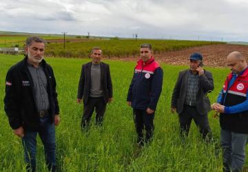 İl Tarım Müdürlüğü sahada: ‘Üreticinin yanındayız’