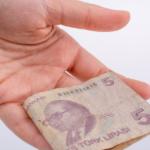 5 TL’nin arkasındaki isim: Ordinaryüs Profesör Aydın Sayılı kimdir, neden banknotta yer alıyor?