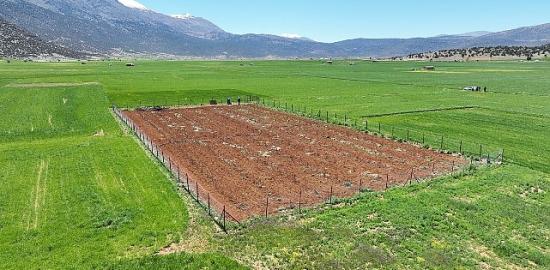 Büyükşehir Belediyesi'nden tarımsal sulamaya büyük destek