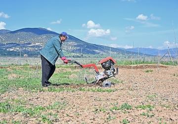 Büyükşehir ipek böceği yetiştiriciliğini yaygınlaştırıyor