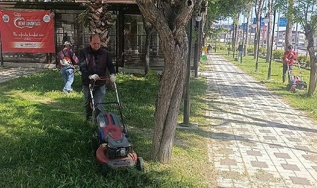Menderes'te Ot Seferberliği